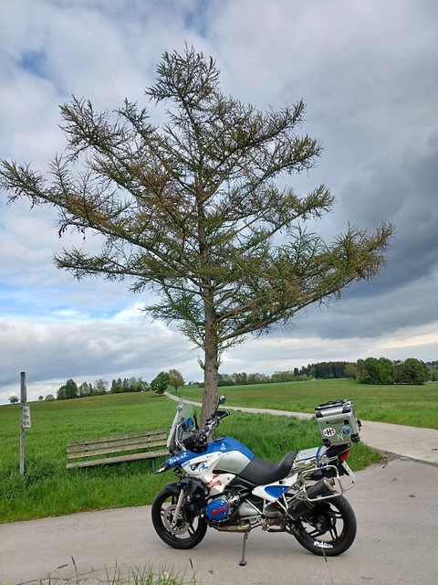 GS vor der Bank.jpg