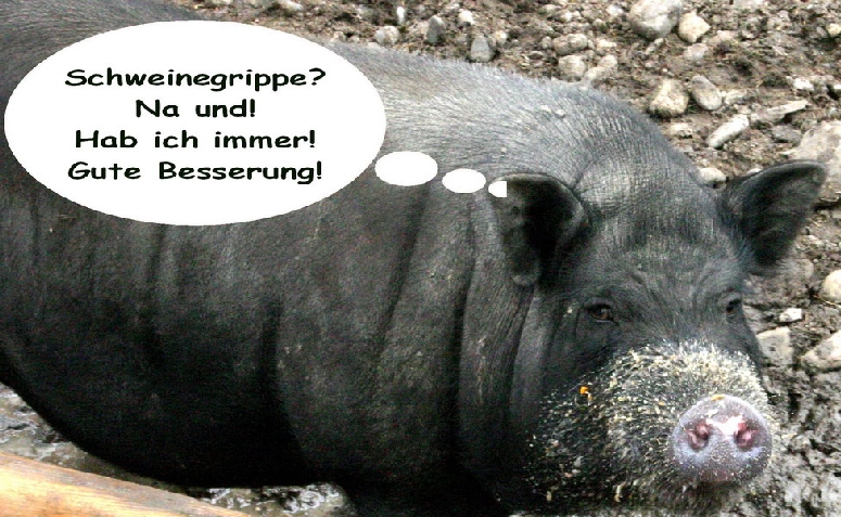 gute-besserung-karte-schwein-1.jpg