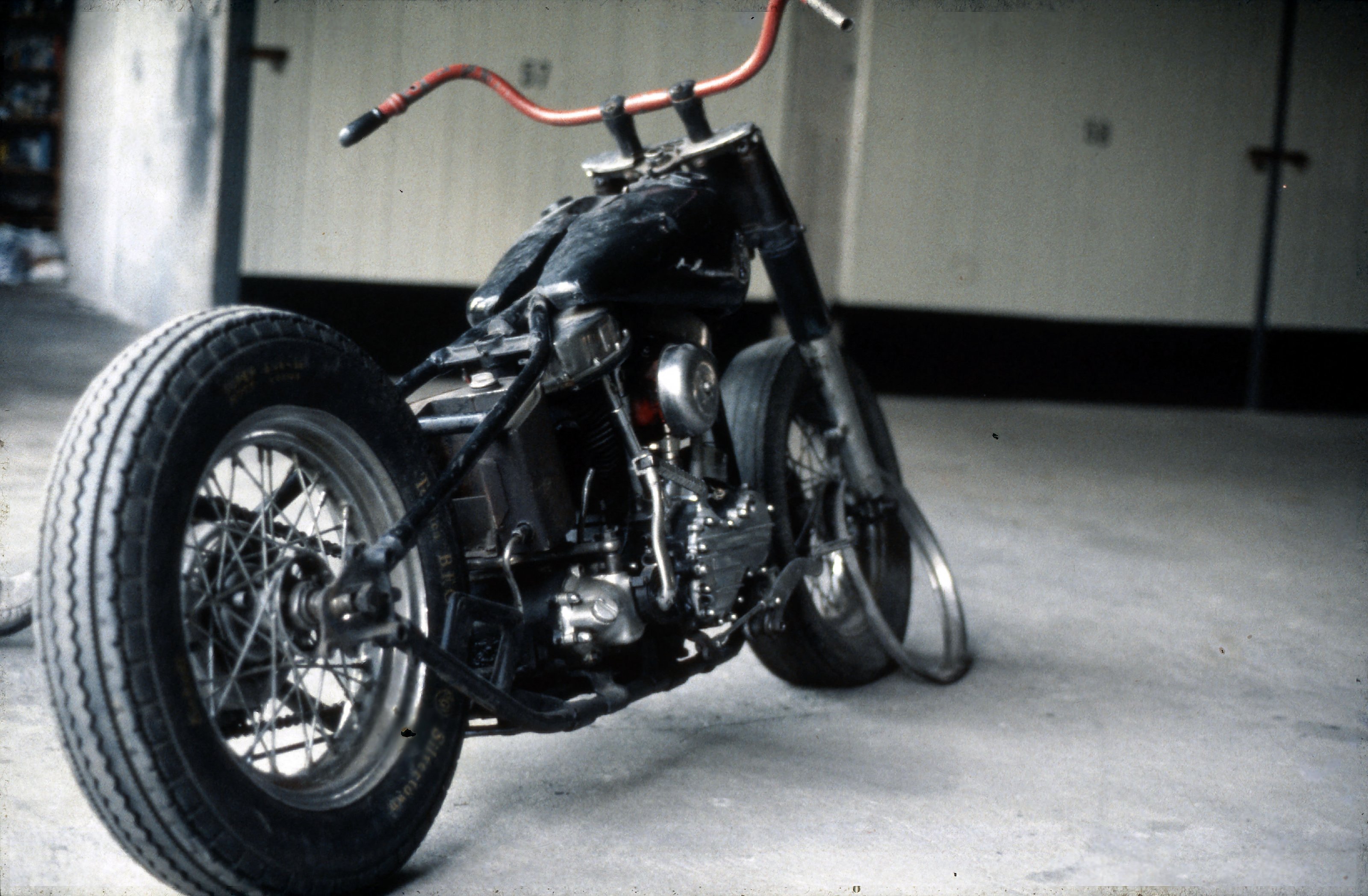 Harley - 013.jpg