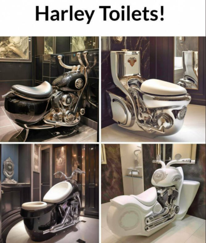 harley toi.jpg