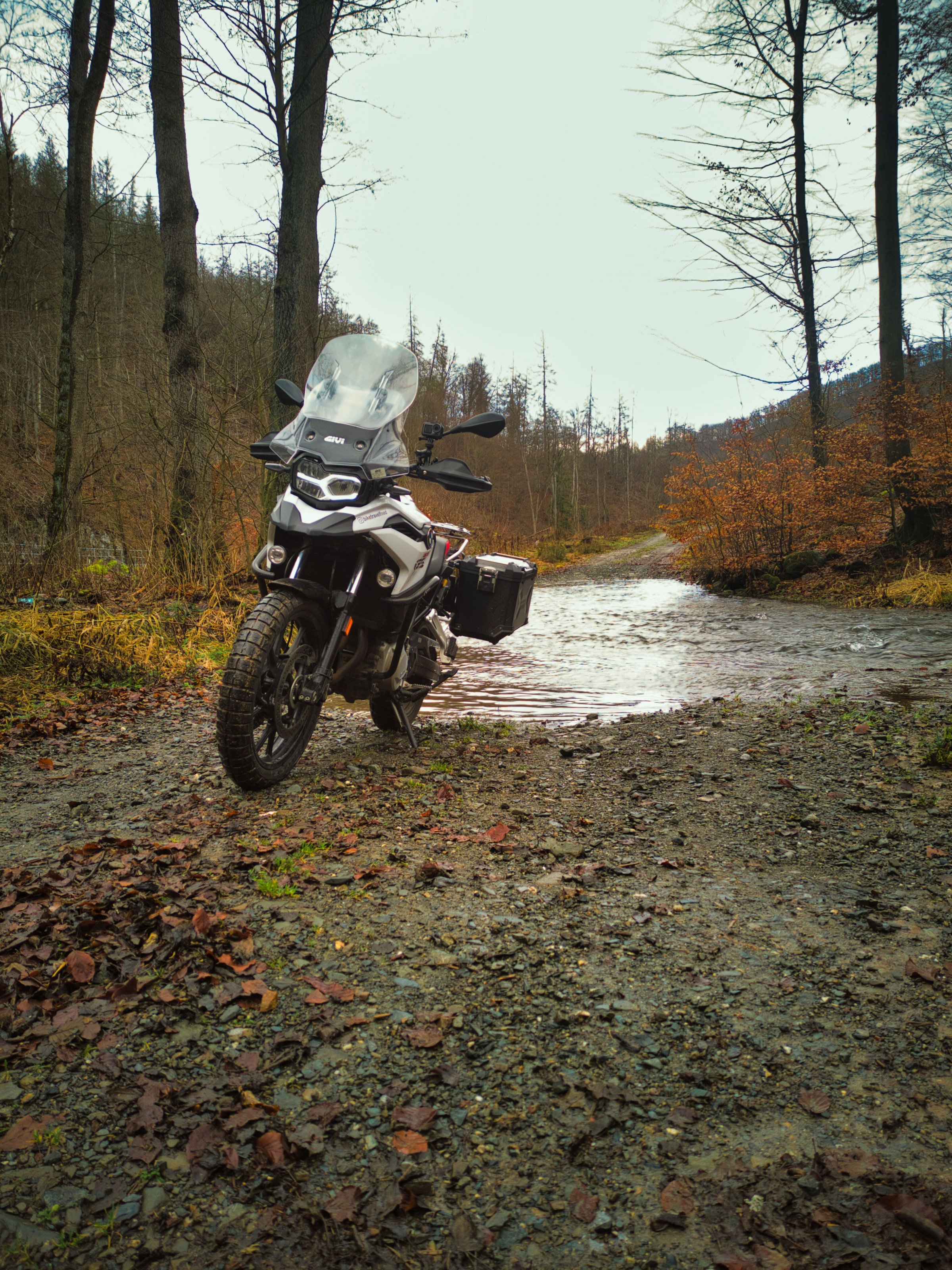 Harz 01.2023.jpg