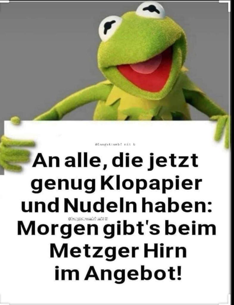 Hirn im Angebot.jpeg