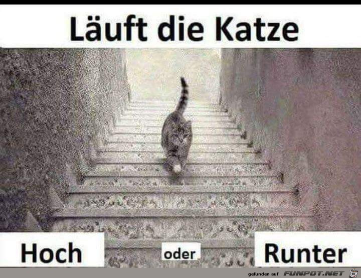 Hoch_oder_runter.jpg