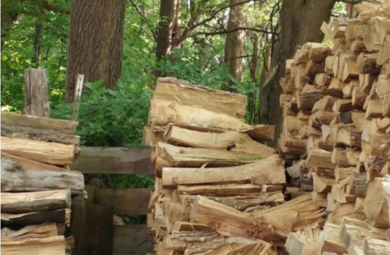 holzilo.jpg