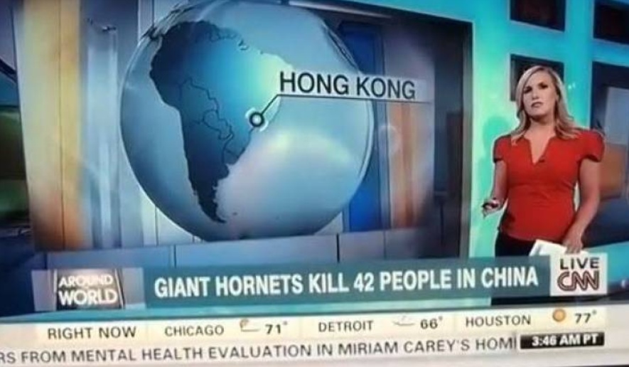 hornet.jpg