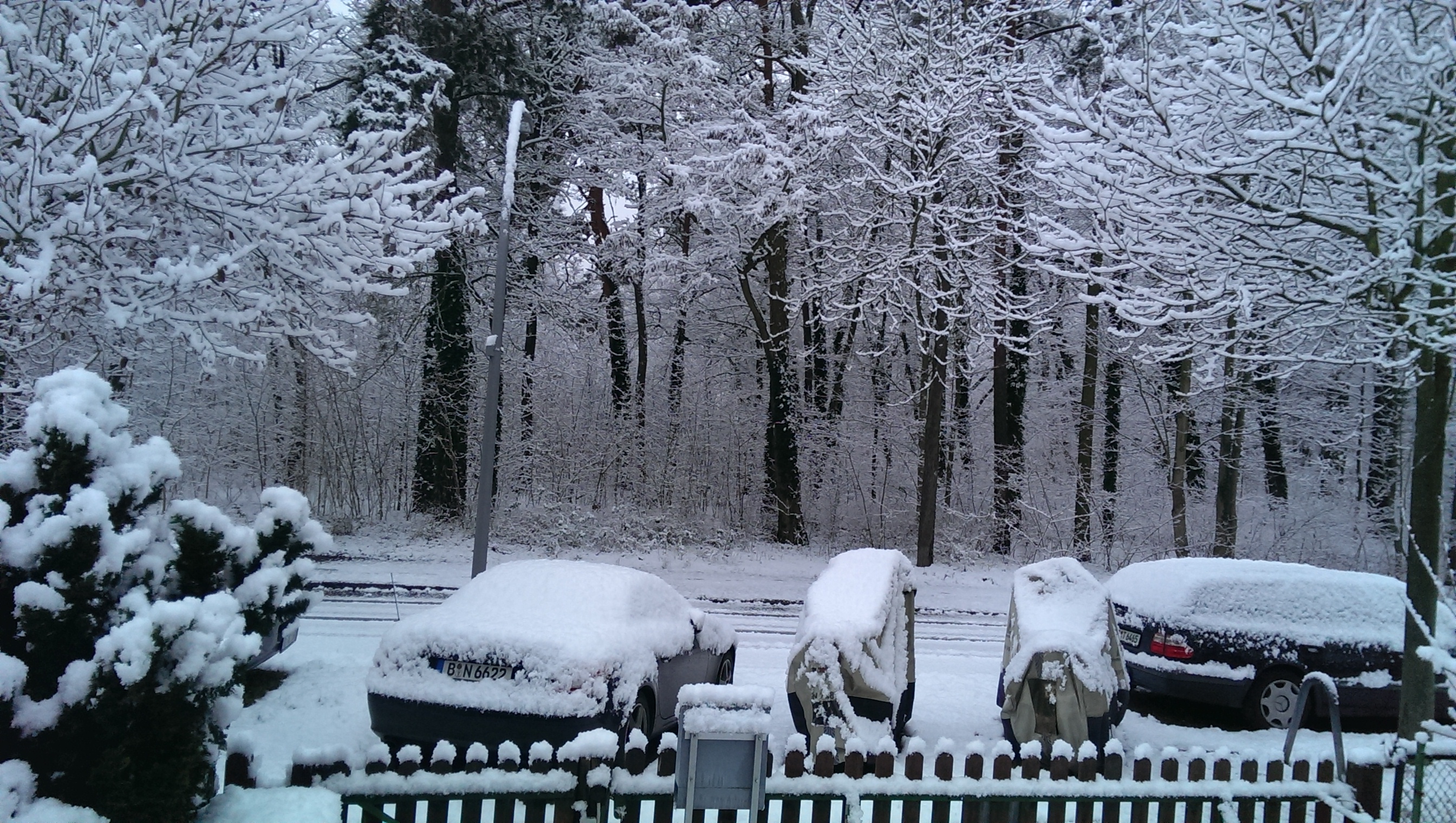 IMAG0050.jpg