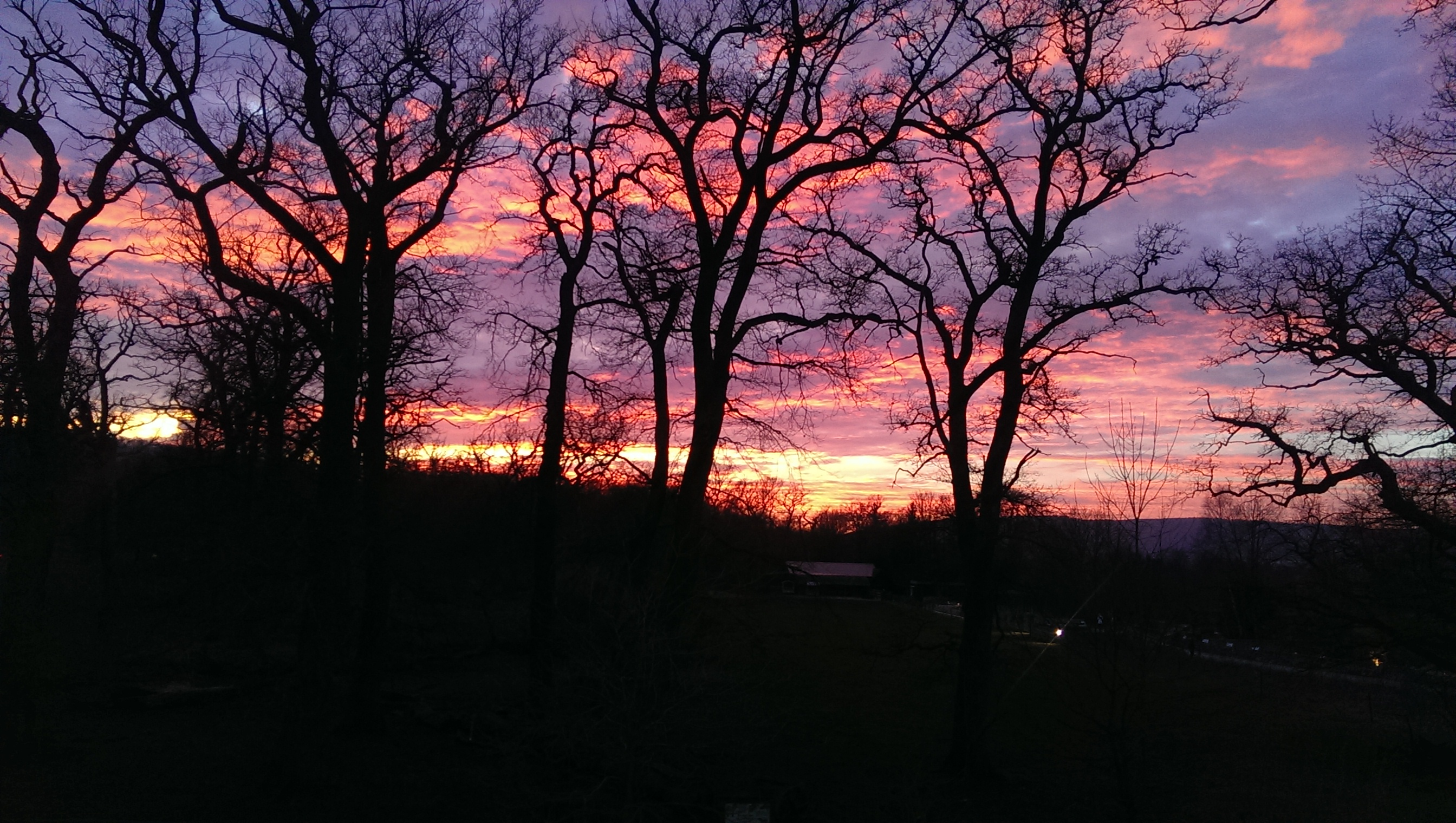 IMAG0112.jpg