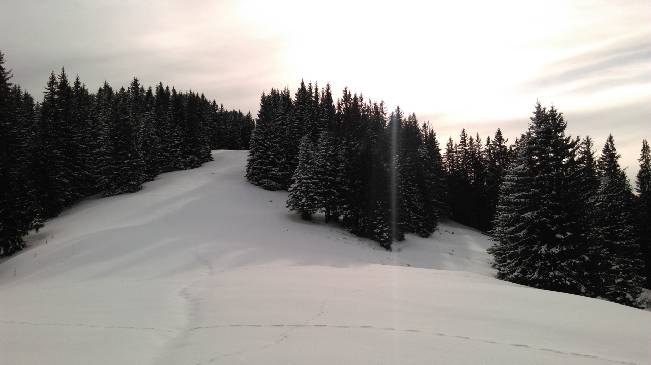 IMAG0586.jpg
