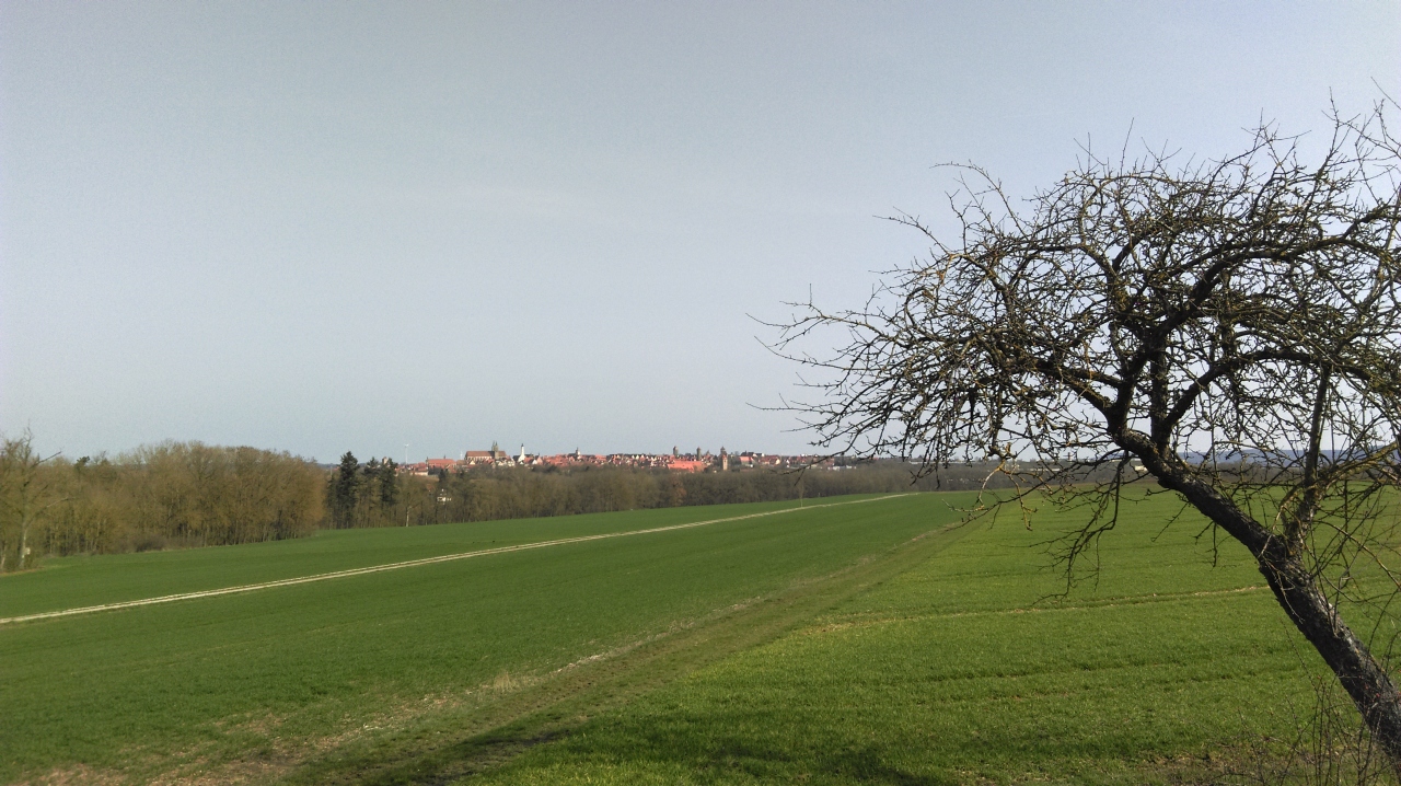 IMAG0734.jpg