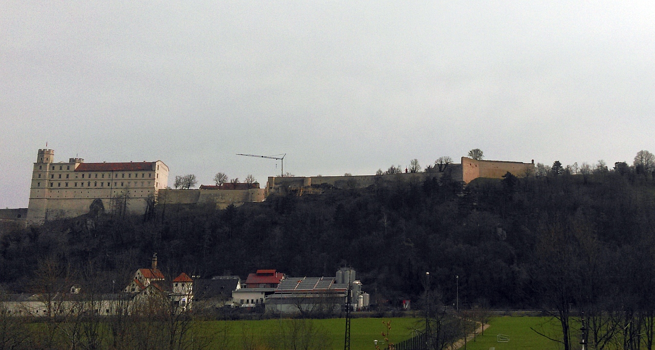 IMAG0784.jpg