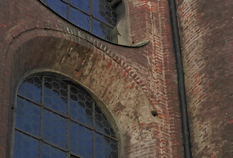 IMAG0804a.jpg