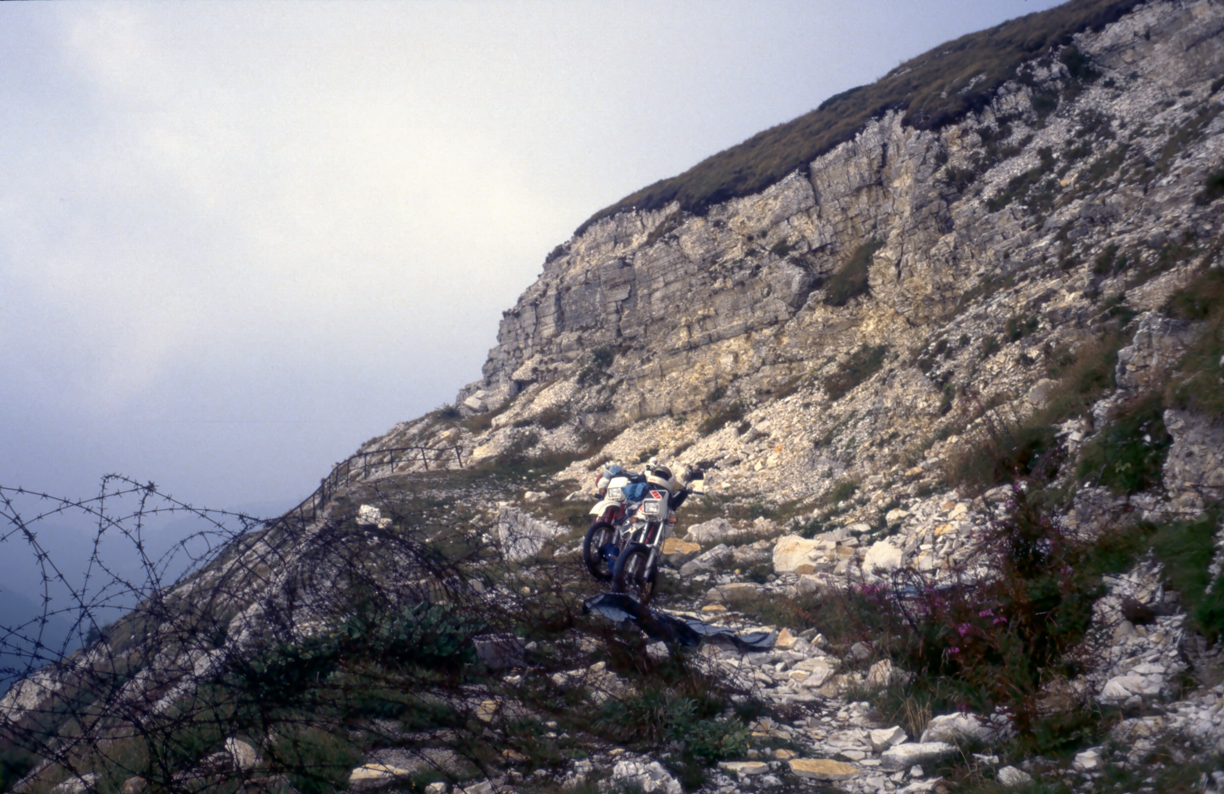 image1096.jpg