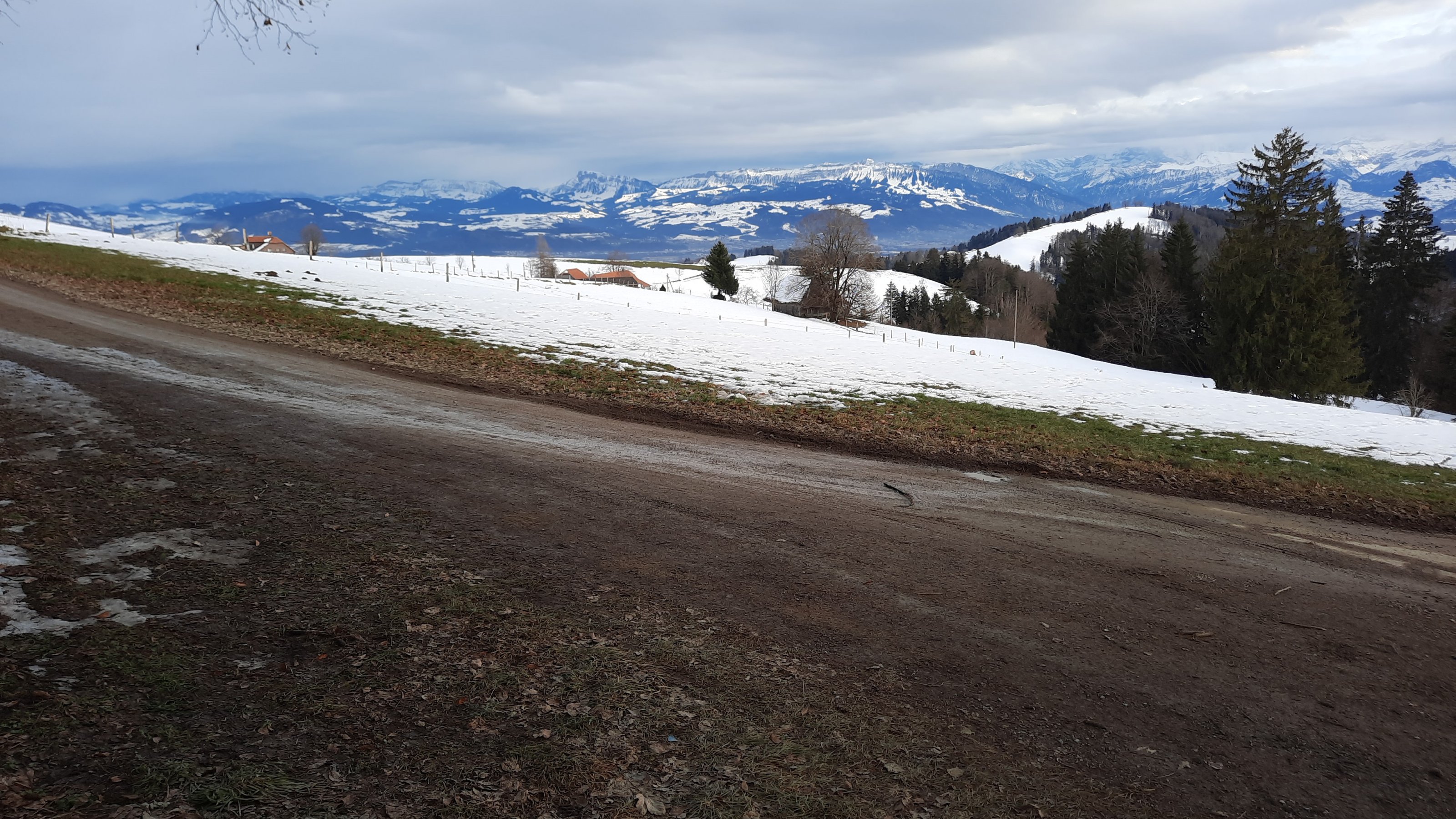 IMG-20211224-WA0027.jpeg