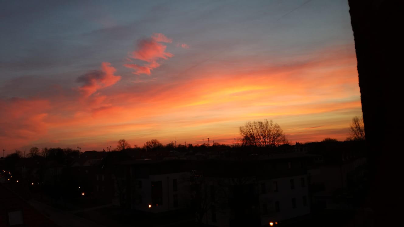 IMG-20220214-WA0001.jpg