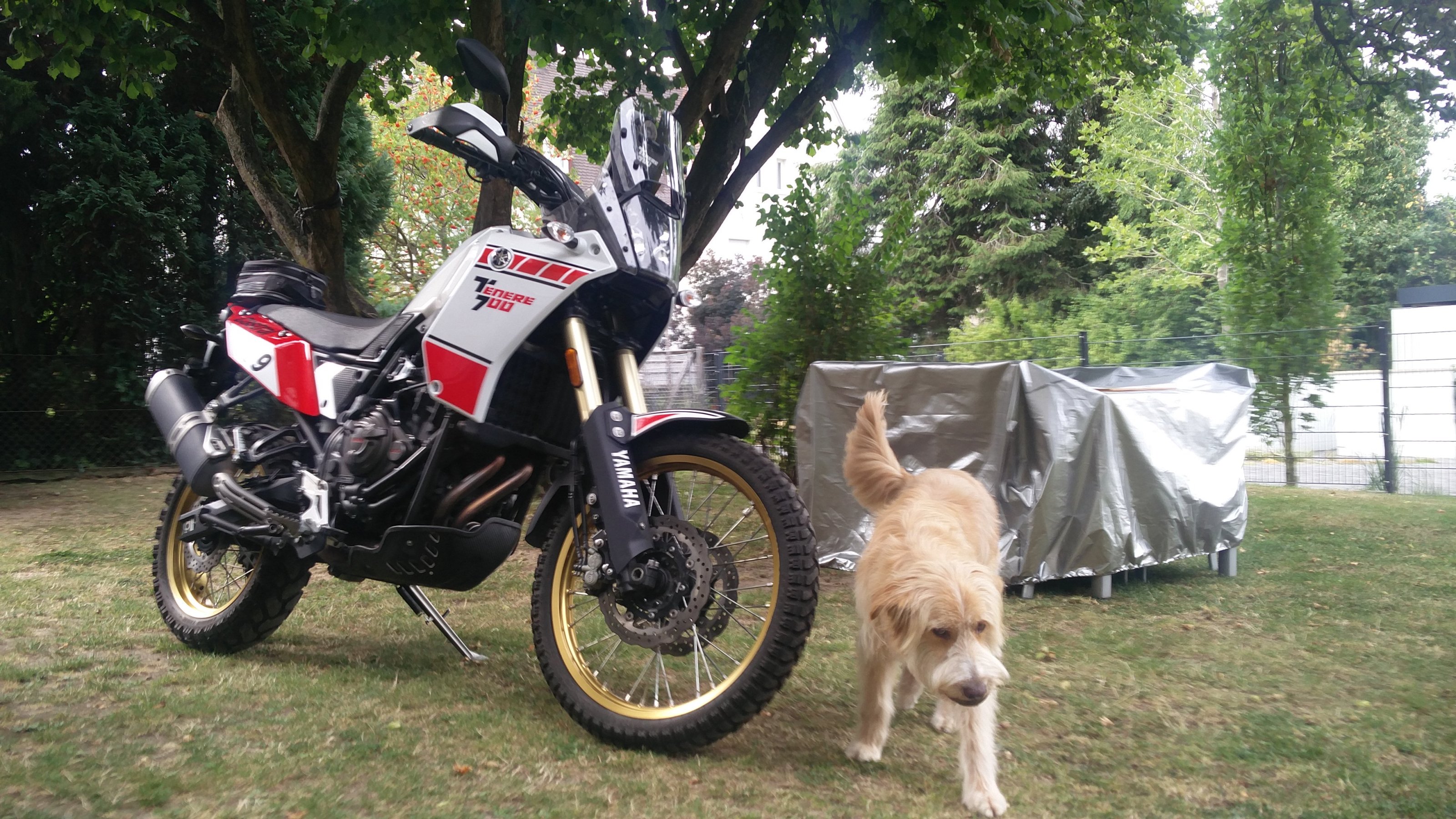 IMG-20220818-WA0001.jpeg