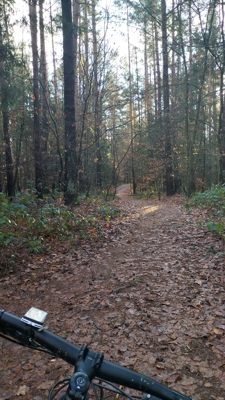 IMG-20221225-WA0009.jpeg