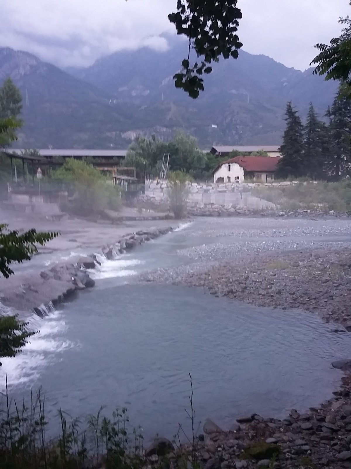 IMG-20230708-WA0004.jpeg