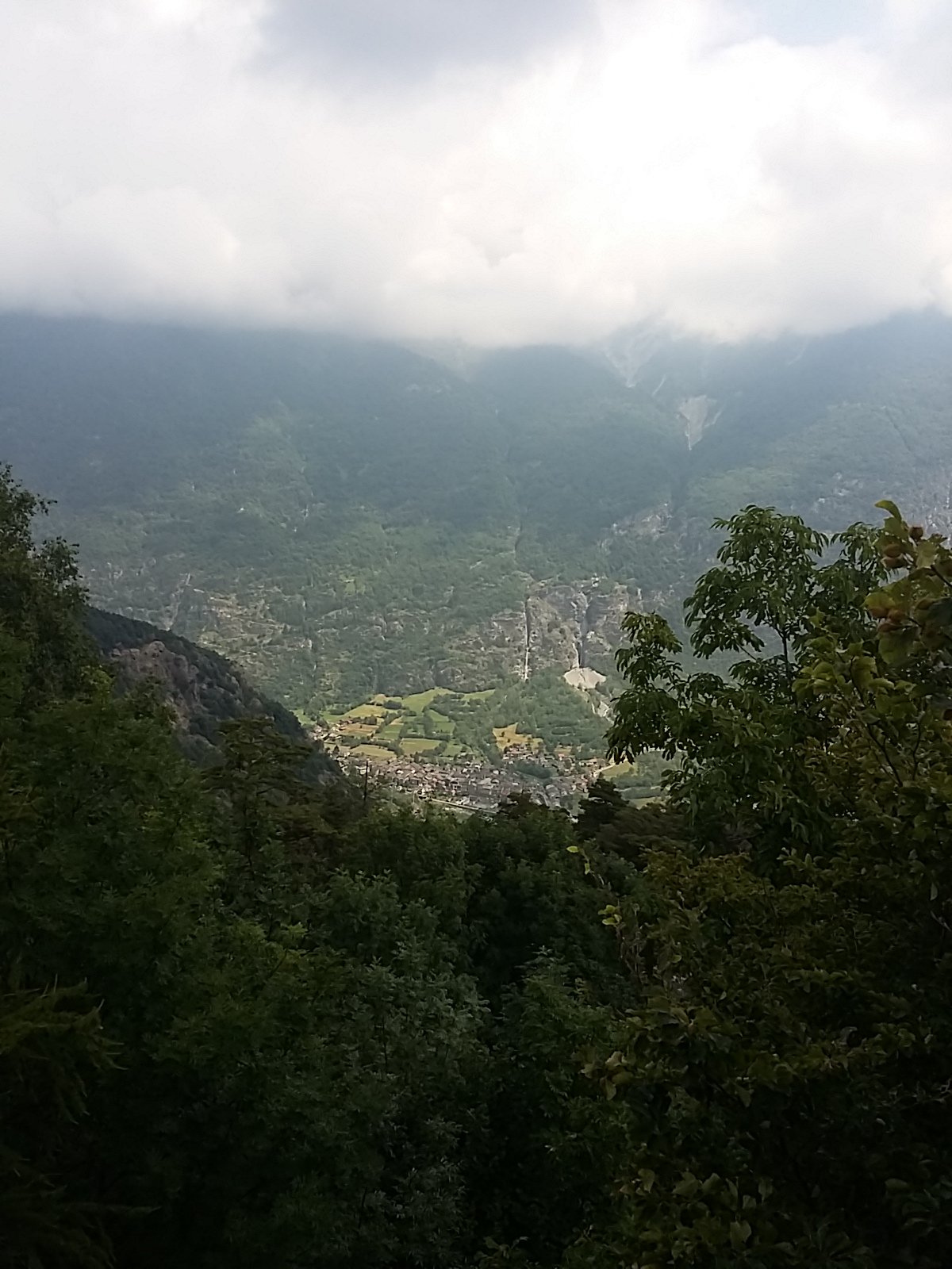 IMG-20230708-WA0045.jpeg