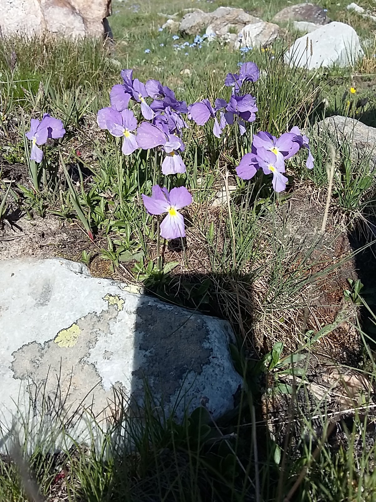 IMG-20230708-WA0077.jpeg