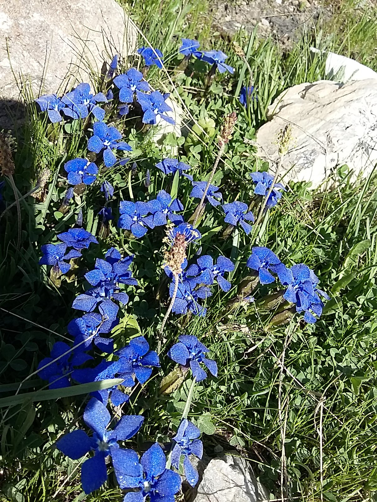 IMG-20230708-WA0079.jpeg
