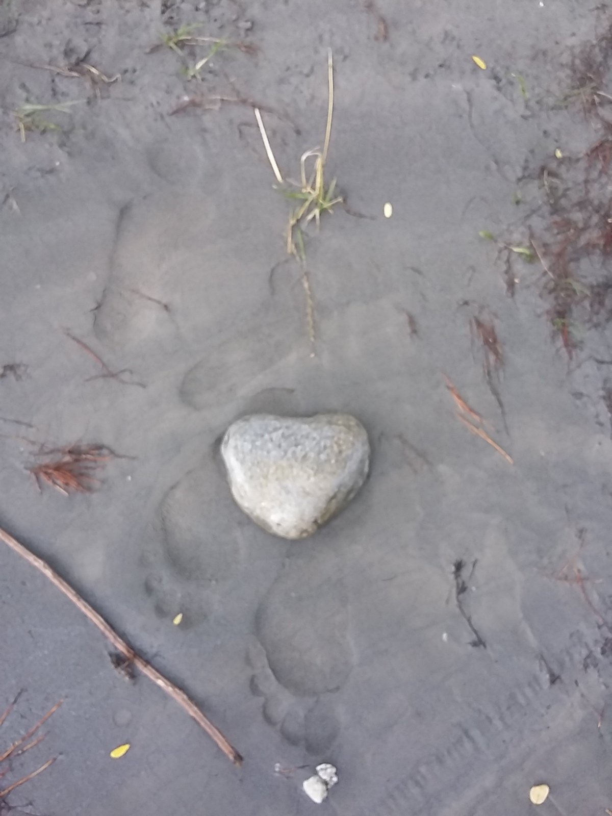 IMG-20230709-WA0019.jpeg