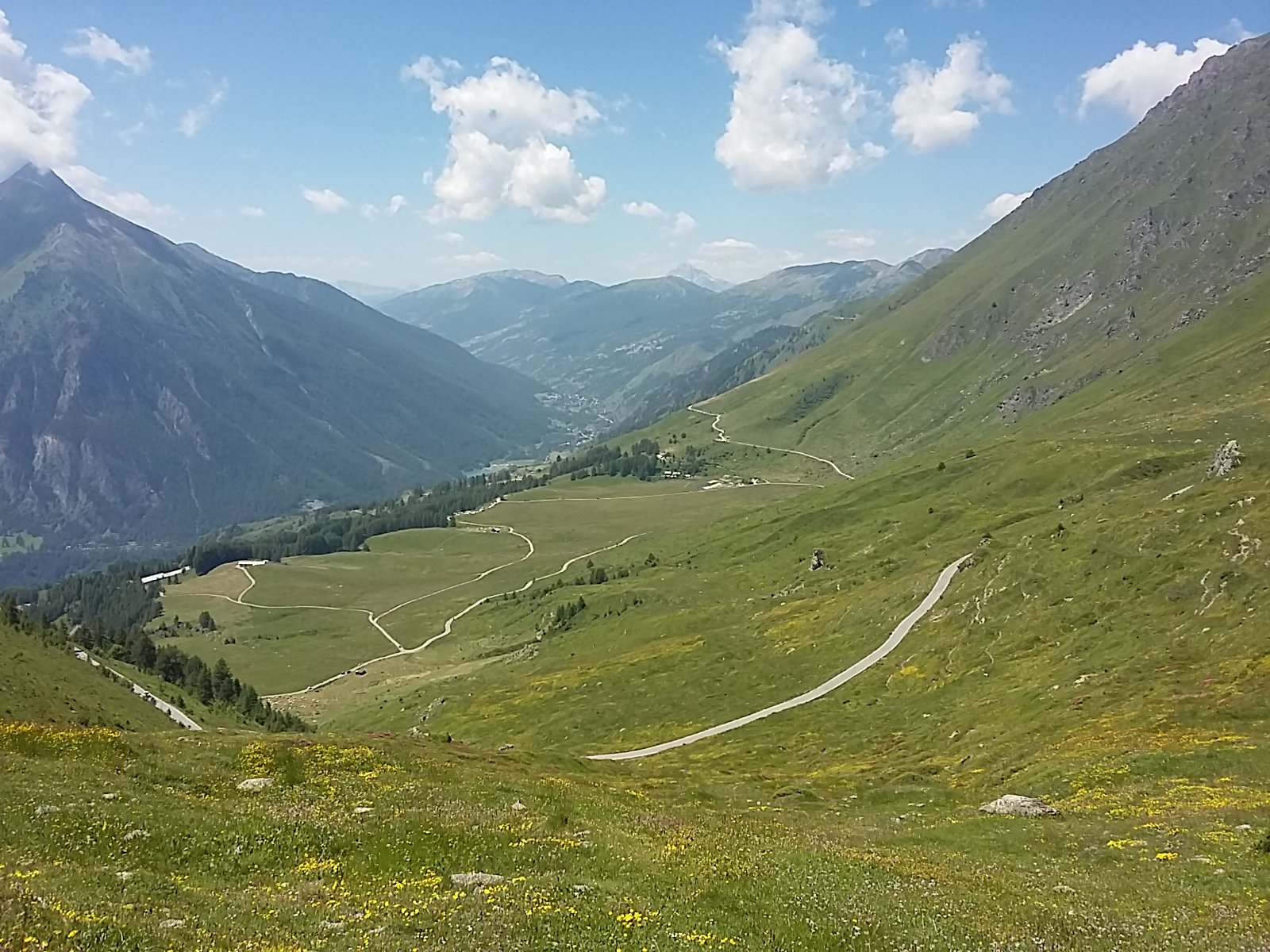 IMG-20230709-WA0042.jpeg