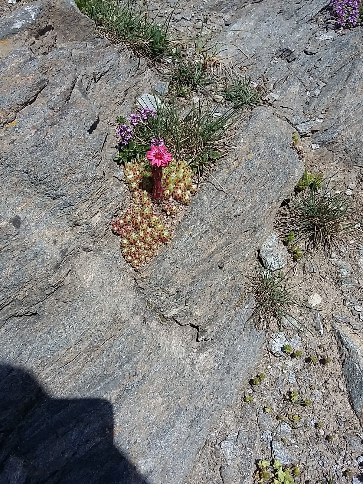 IMG-20230709-WA0050.jpeg