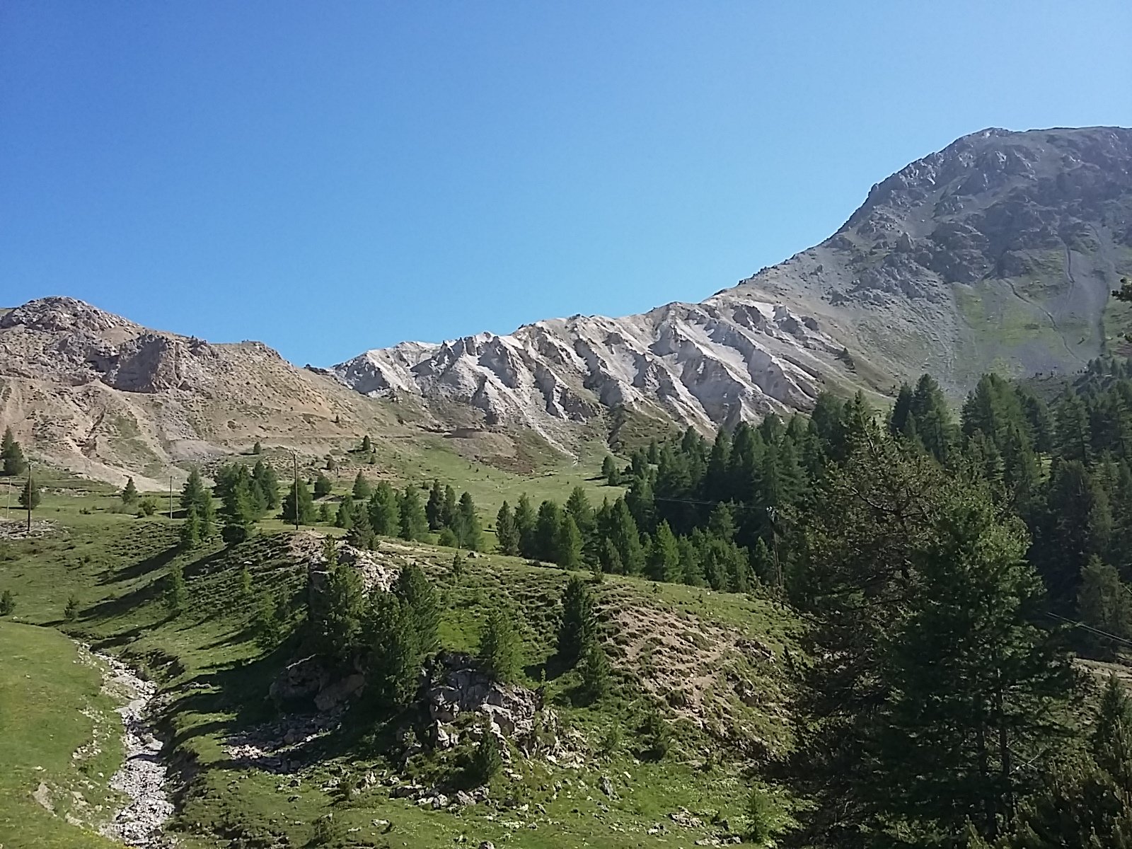 IMG-20230709-WA0066.jpeg