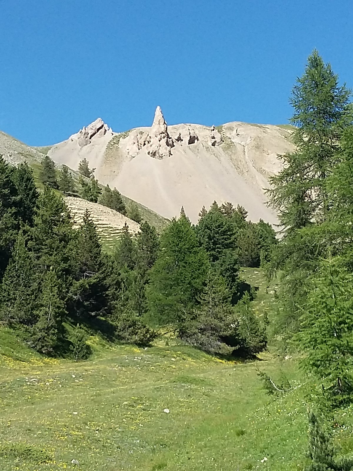 IMG-20230709-WA0069.jpeg