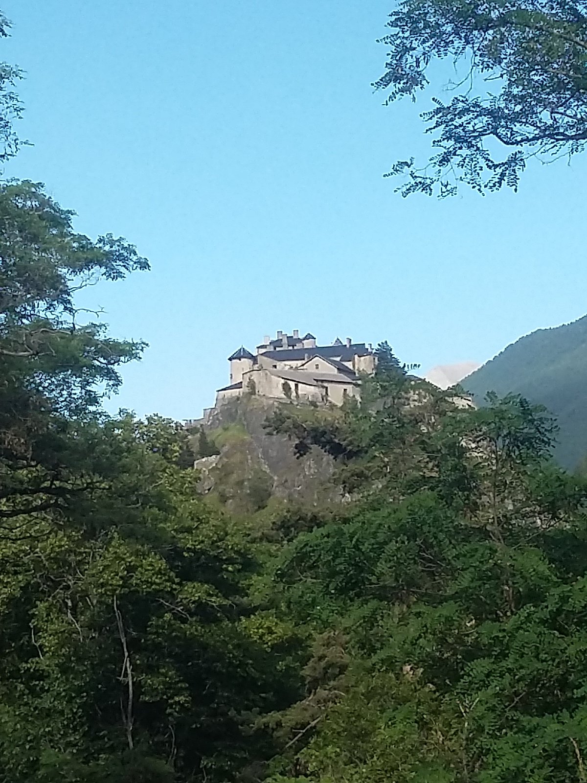 IMG-20230709-WA0078.jpeg