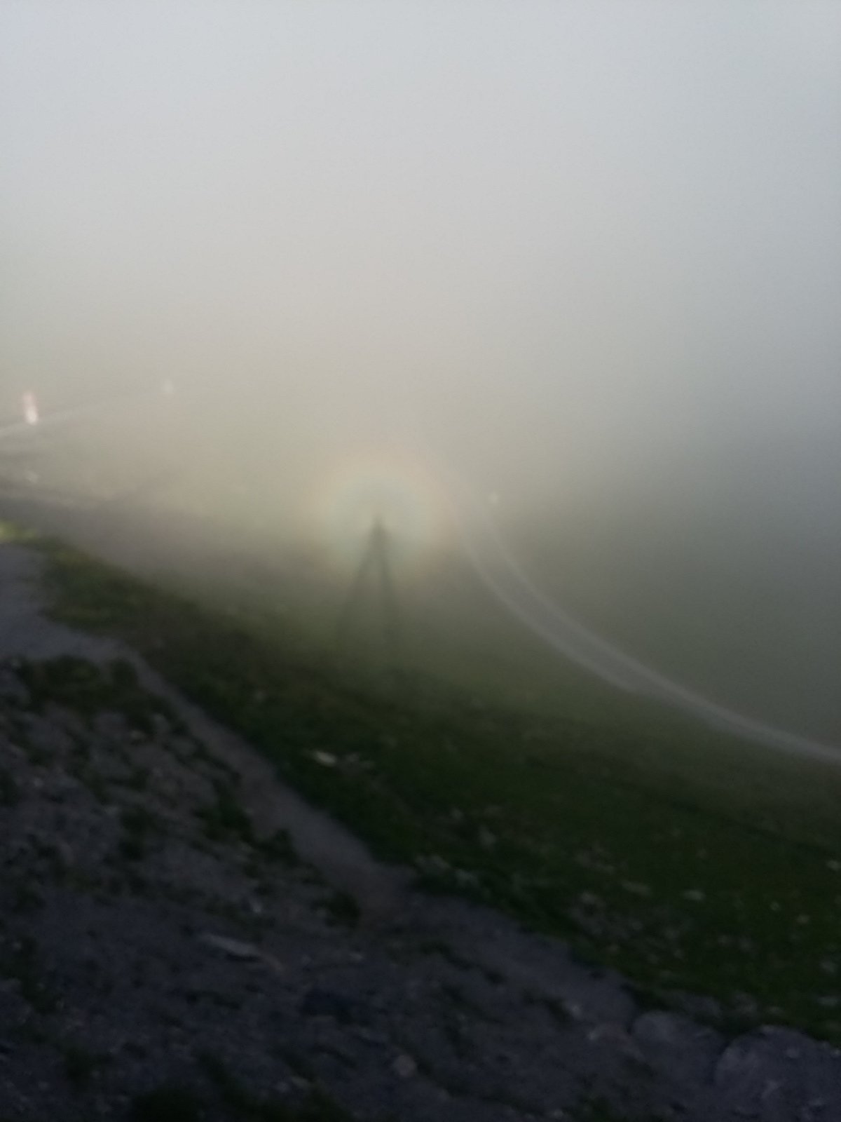IMG-20230709-WA0083.jpeg