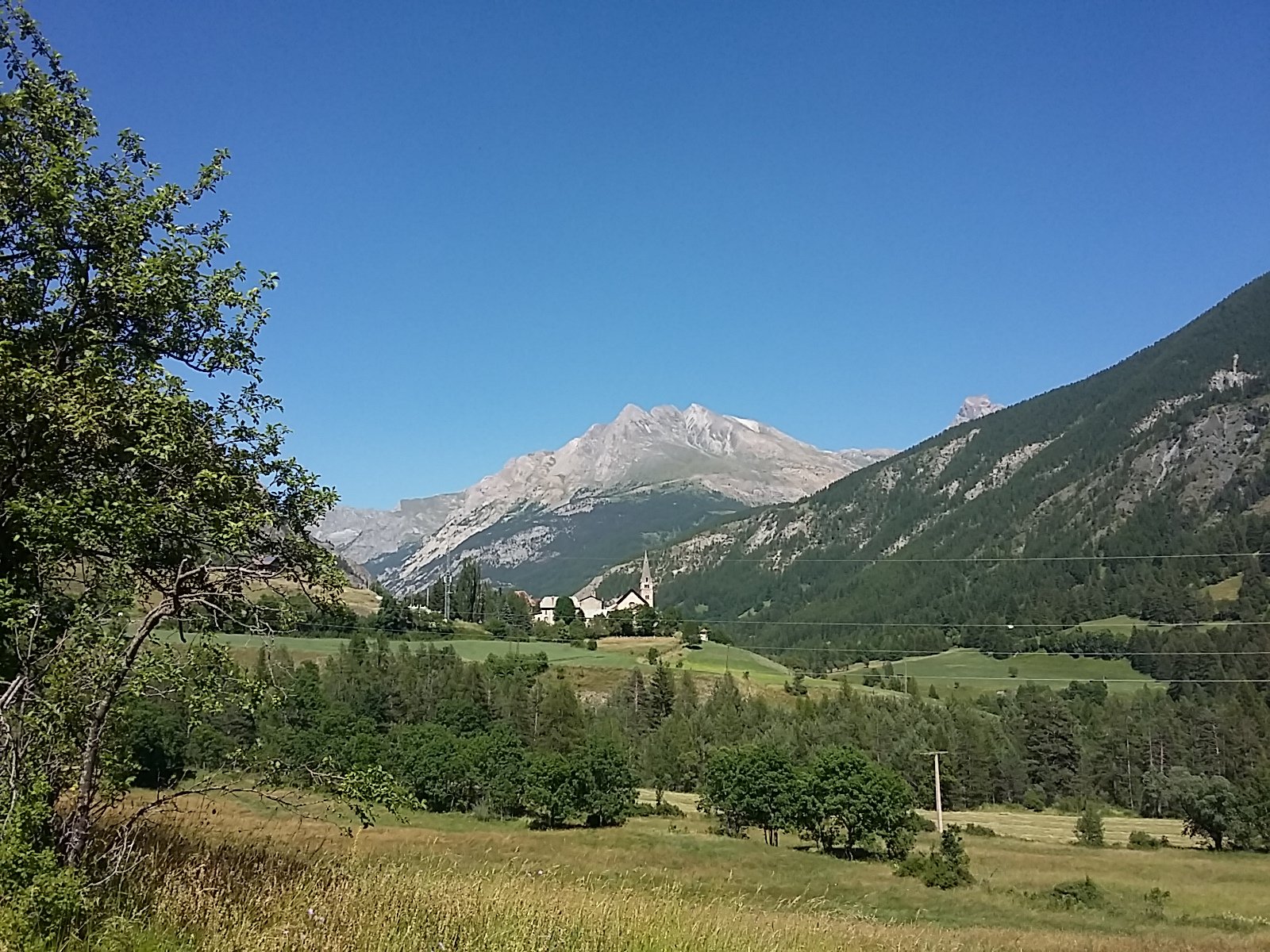IMG-20230710-WA0029.jpeg