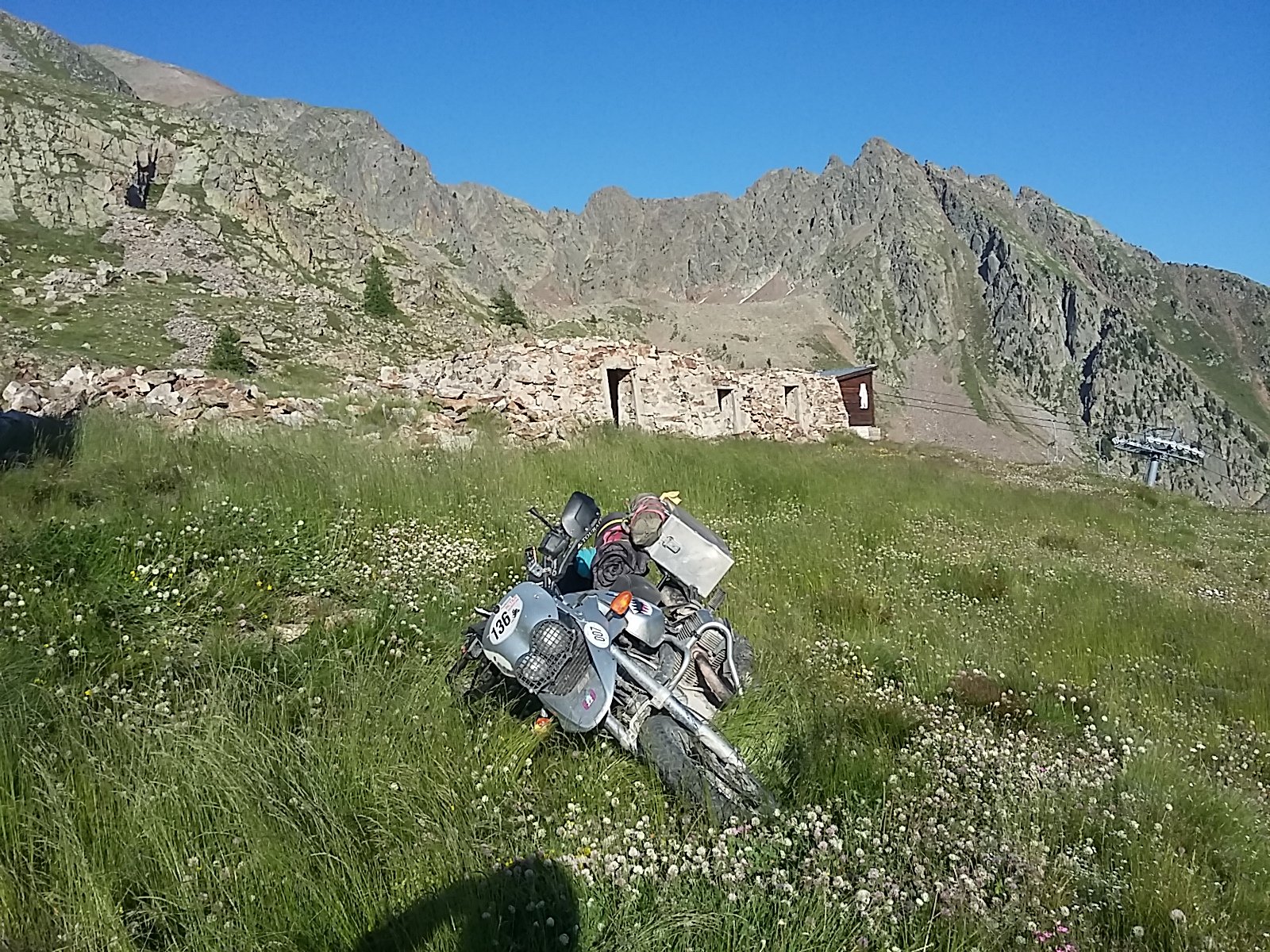 IMG-20230710-WA0050.jpeg