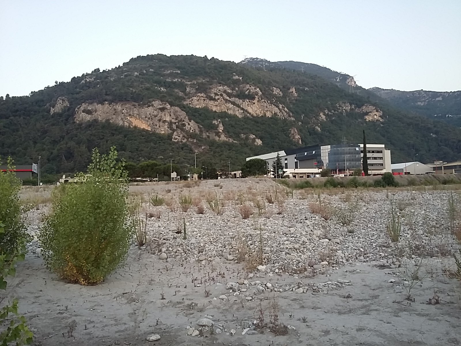 IMG-20230711-WA0001.jpeg