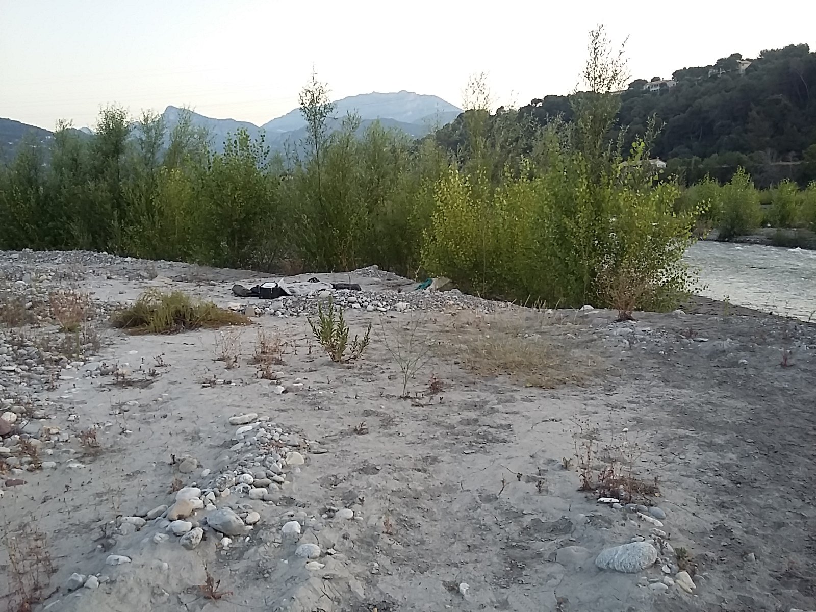 IMG-20230711-WA0004.jpeg