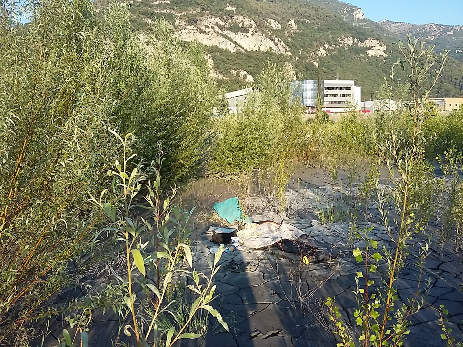 IMG-20230711-WA0011.jpeg