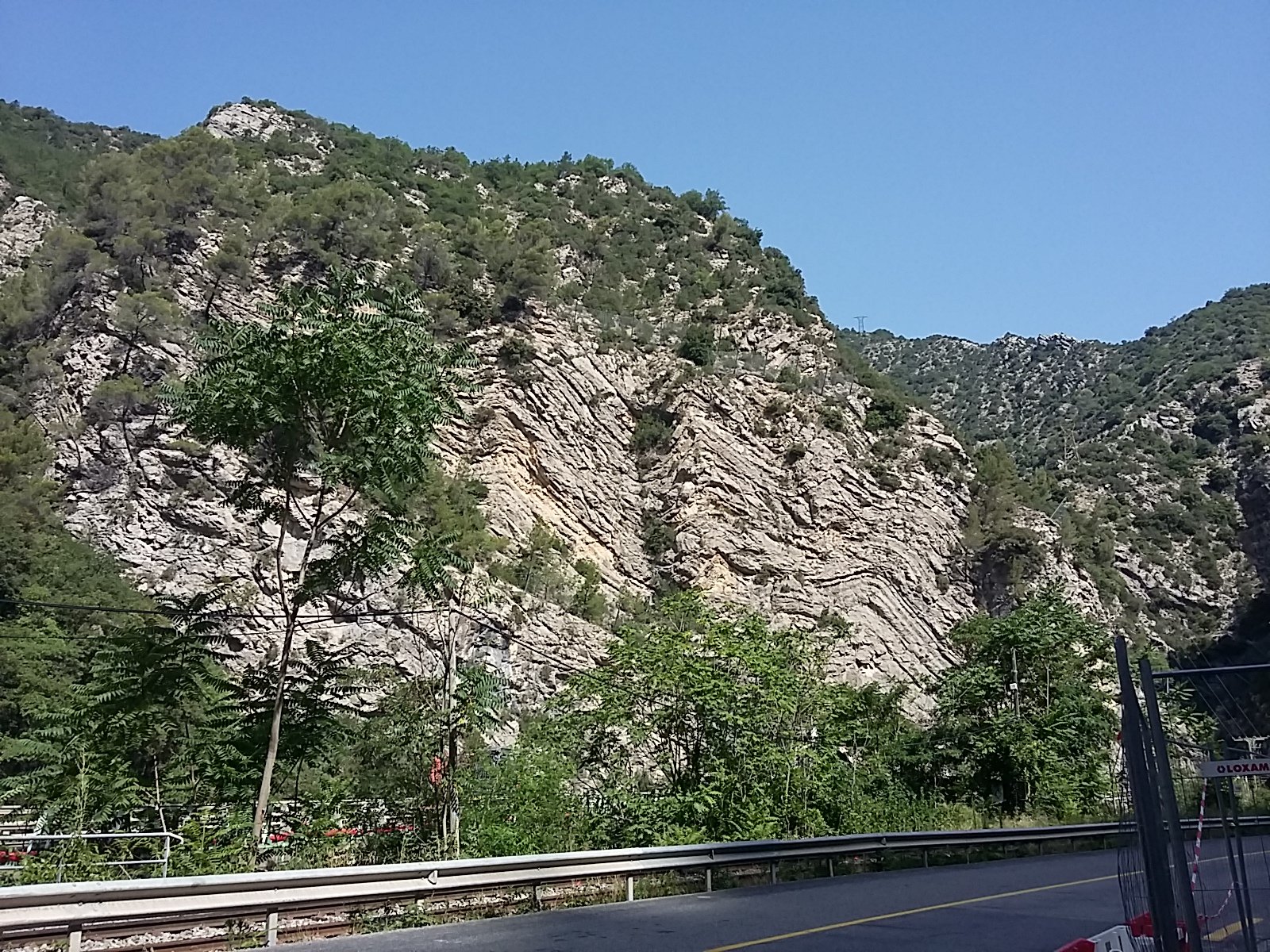 IMG-20230712-WA0019.jpeg