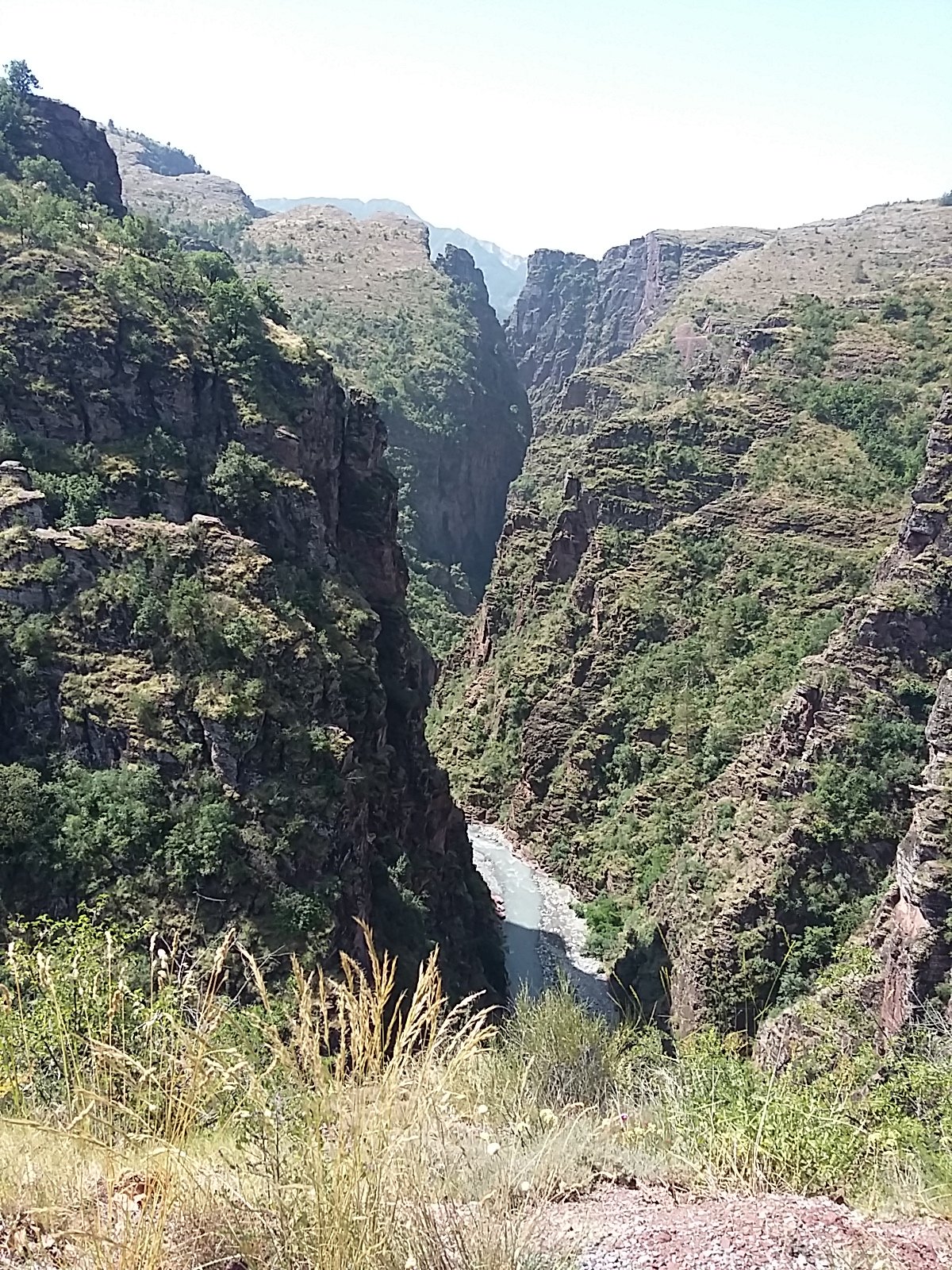 IMG-20230712-WA0030.jpeg