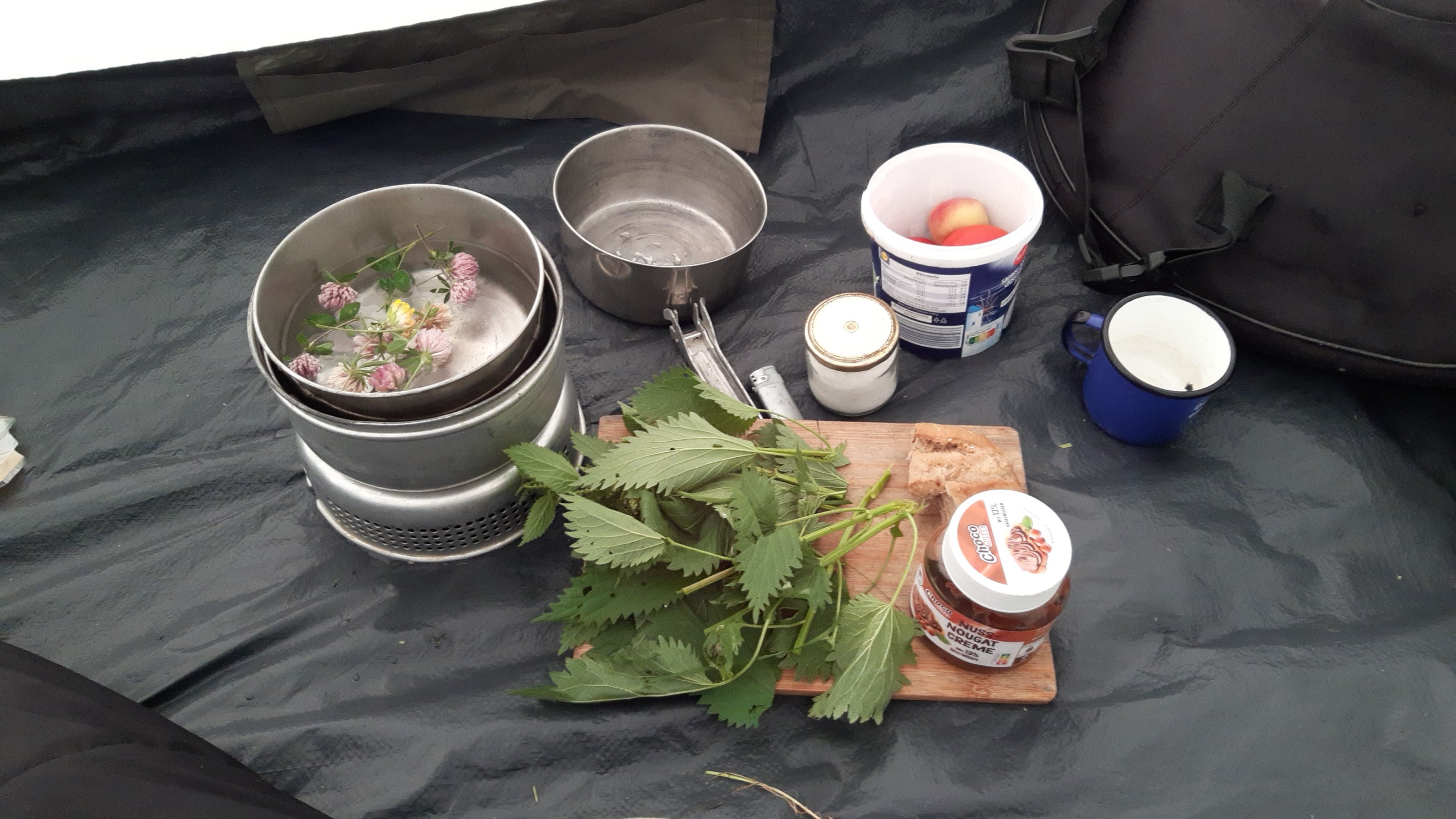 IMG-20240721-WA0023.jpeg