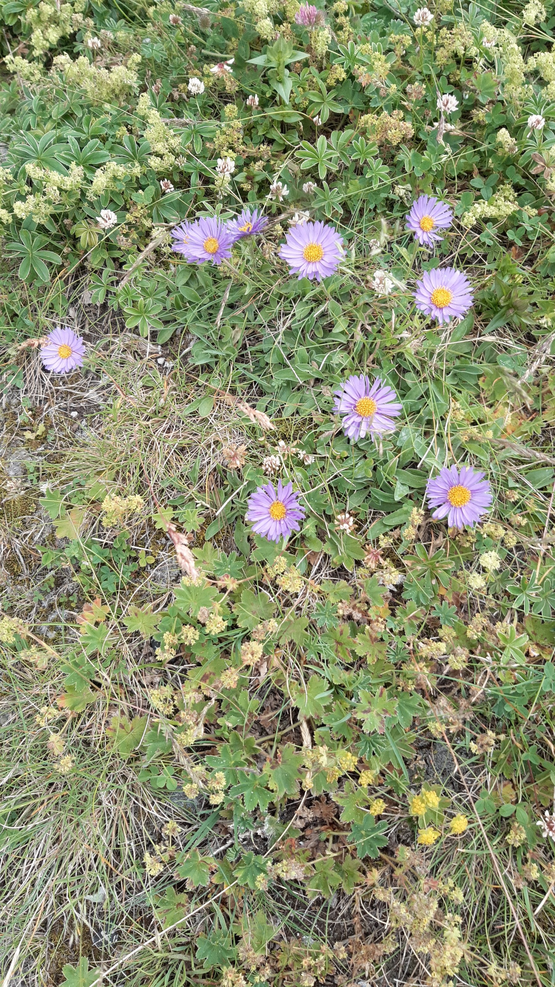 IMG-20240721-WA0047.jpeg