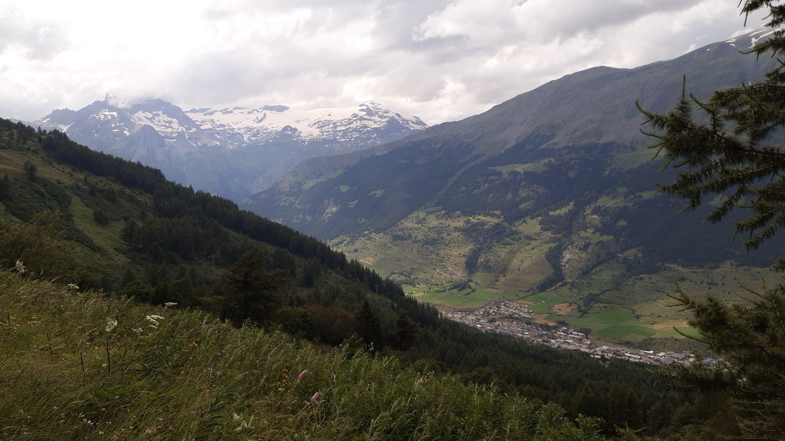 IMG-20240721-WA0101.jpeg