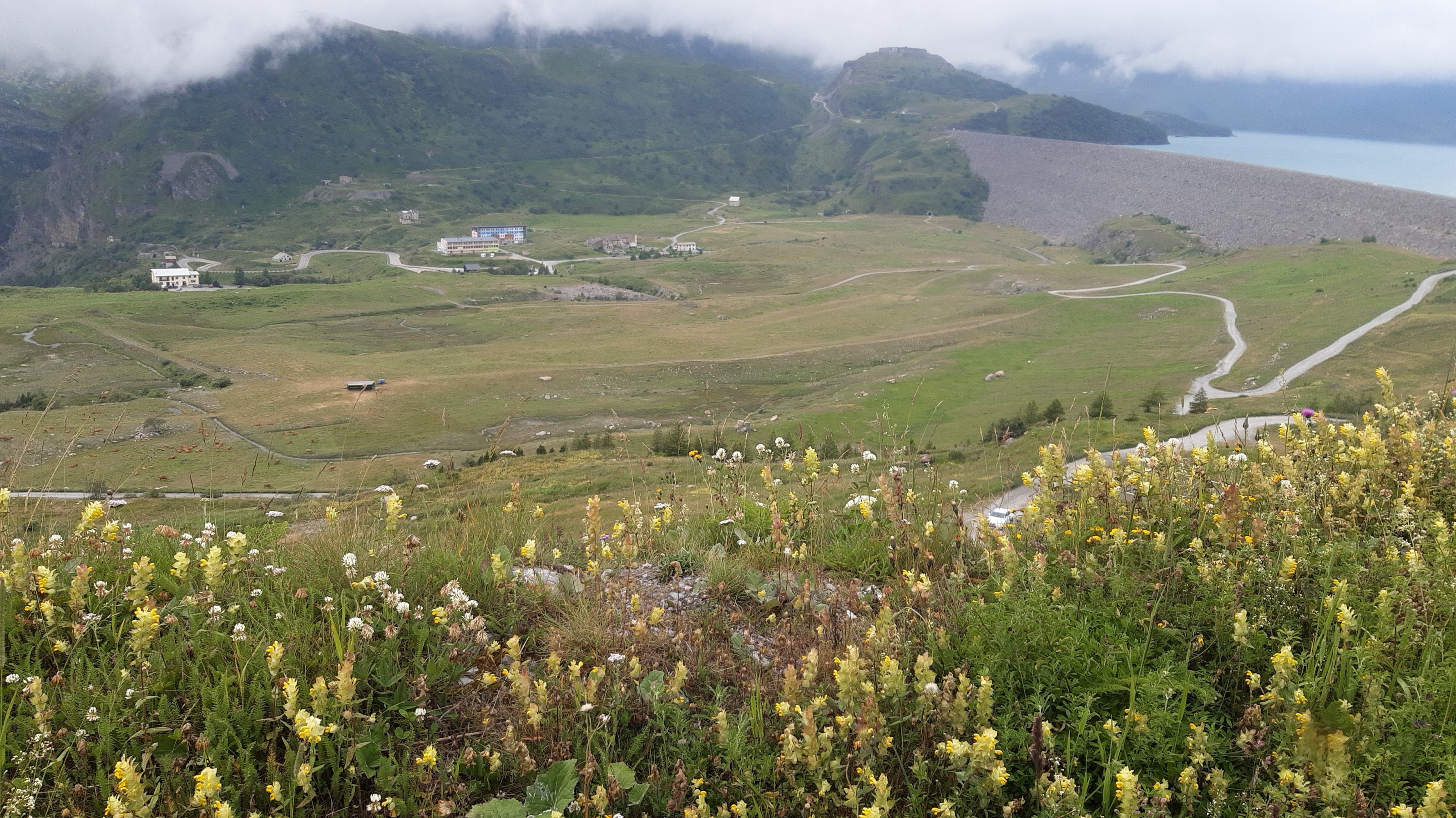 IMG-20240721-WA0108.jpeg