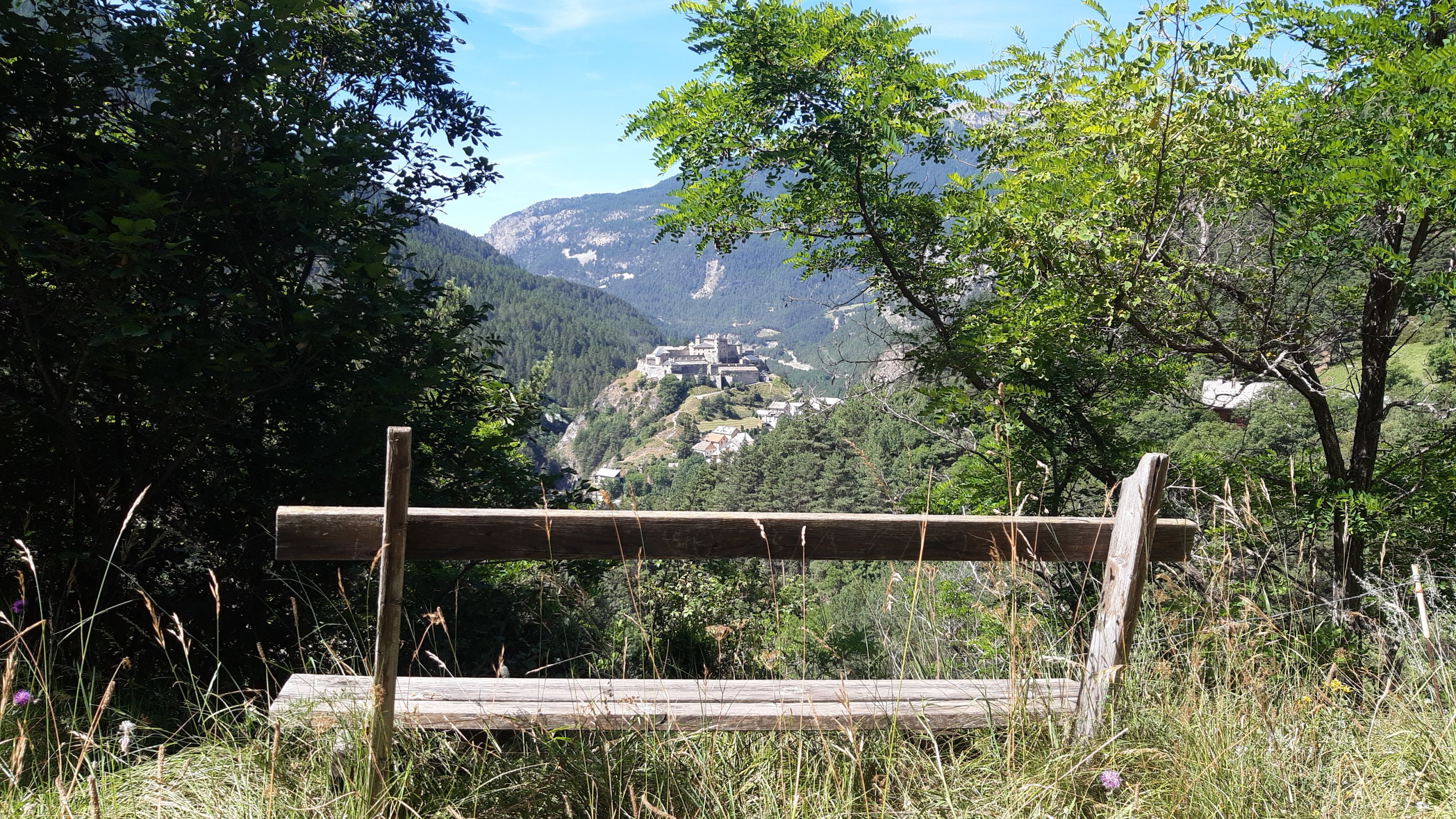 IMG-20240724-WA0099.jpeg