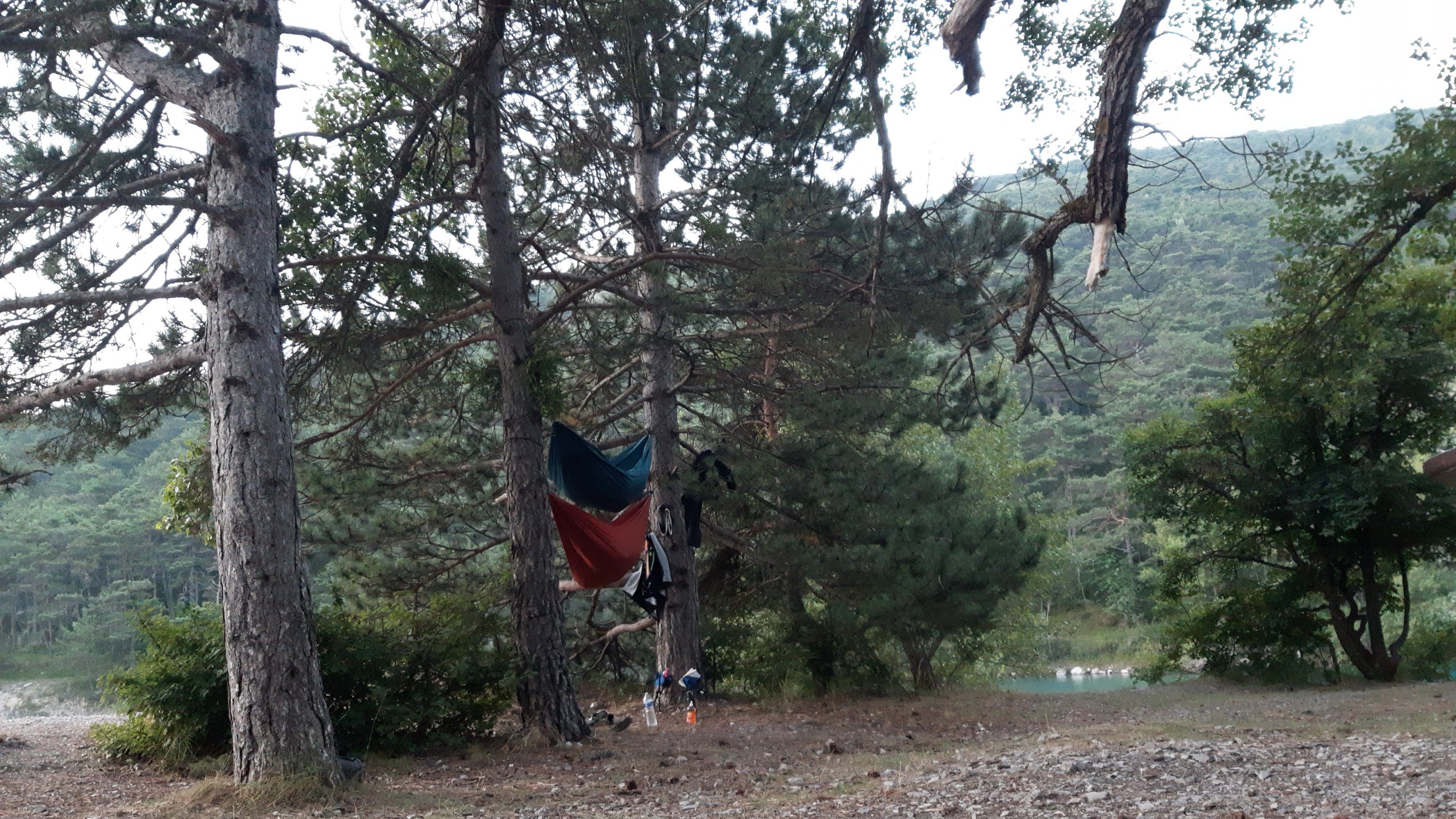 IMG-20240726-WA0007.jpeg