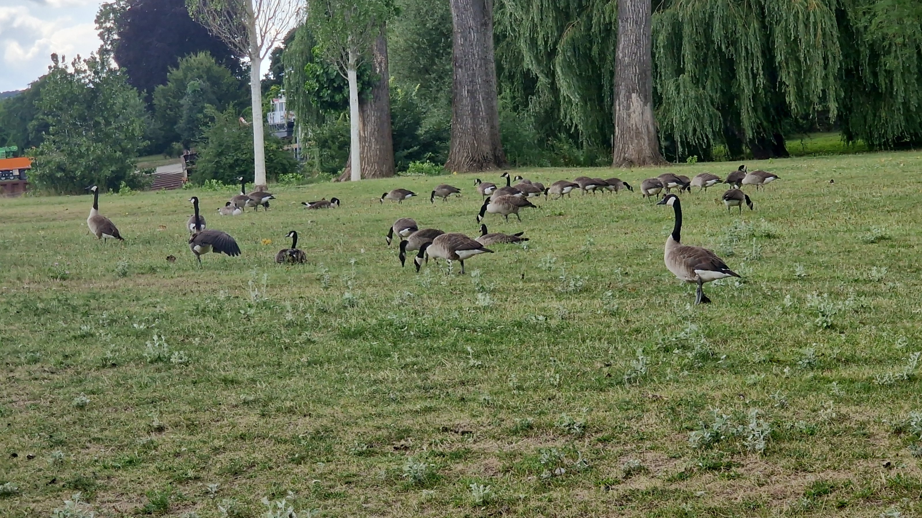 IMG-20250716-WA0015.jpeg