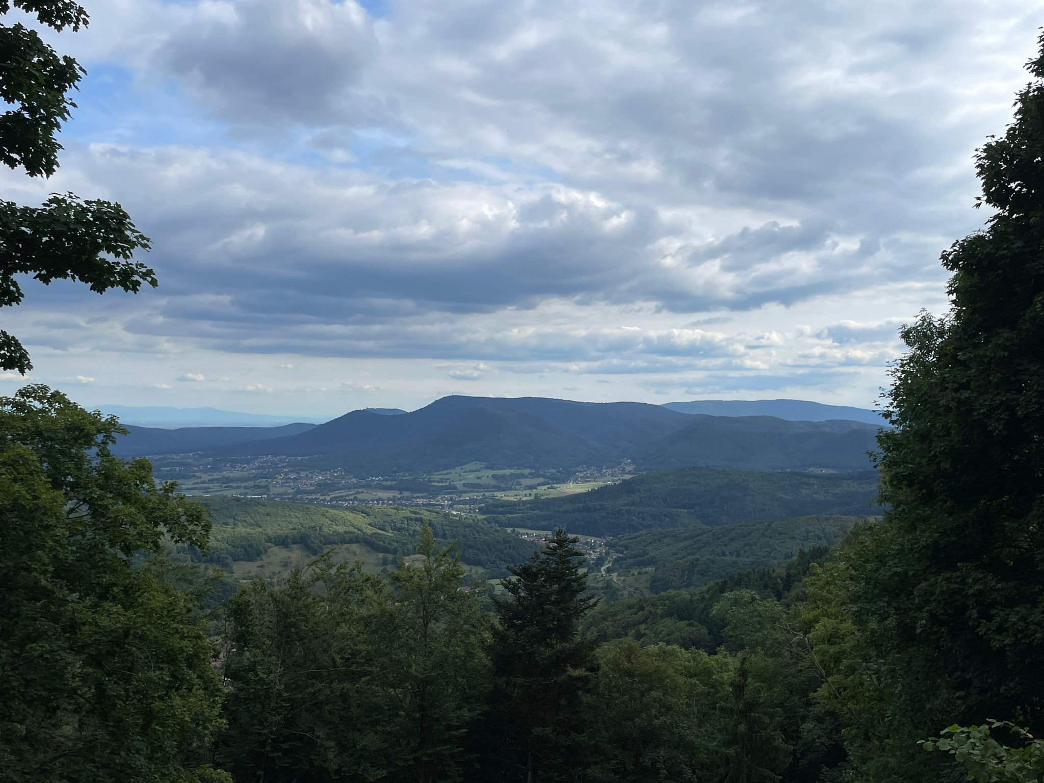 IMG-20250823-WA0008.jpeg