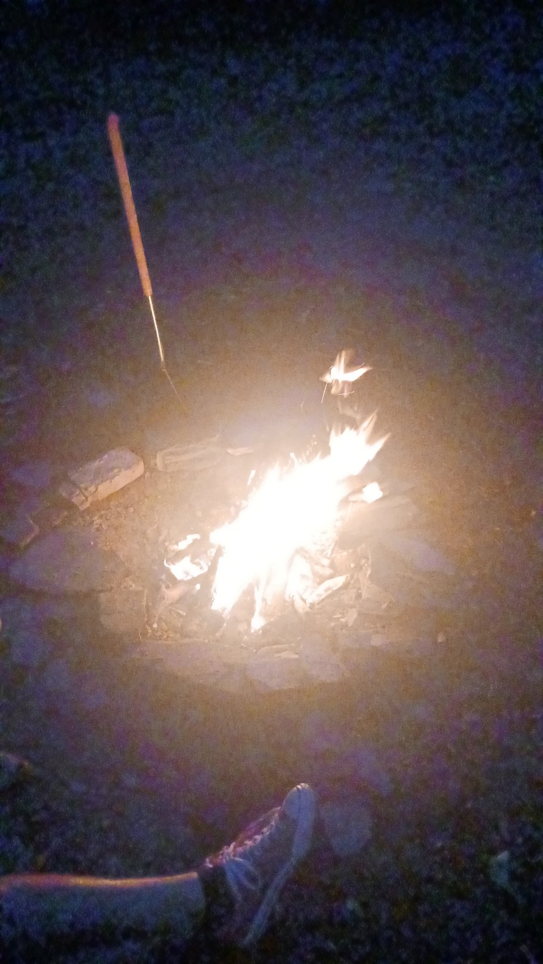 IMG-20260904-WA0009.jpeg