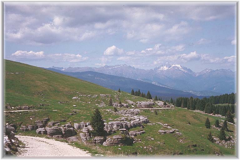 IMG0028.JPG