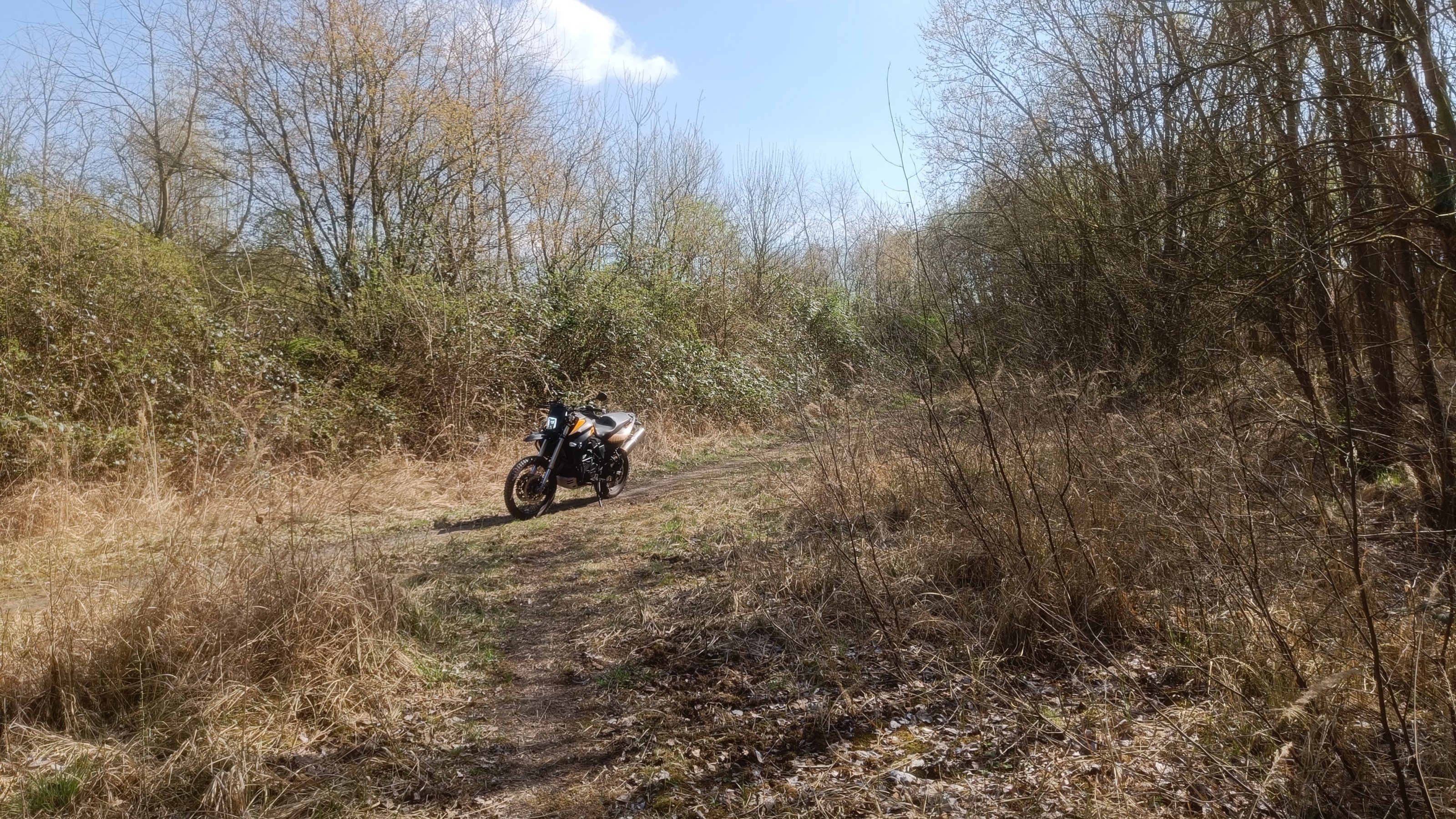 IMG20250401133210.jpg