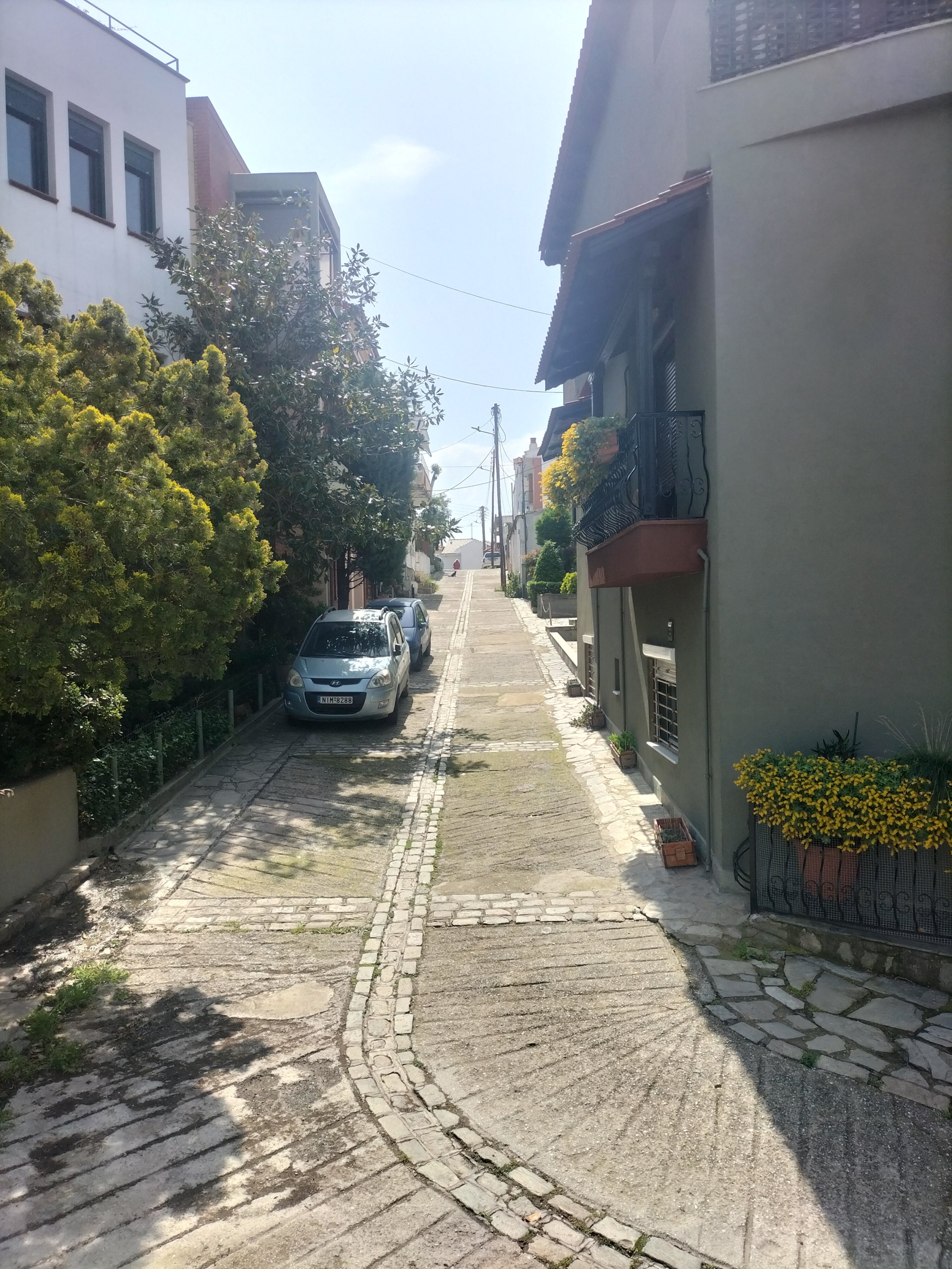 IMG20250416114806.jpg